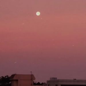 Meet your Posher, Gayle